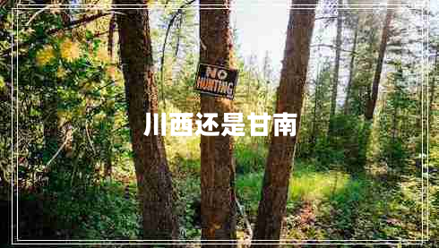川西還是甘南 川西還是甘南