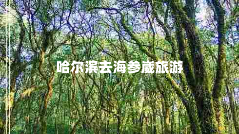 哈爾濱去海參崴旅游 哈爾濱去海參崴旅游