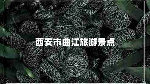 西安市曲江旅游景點(diǎn)