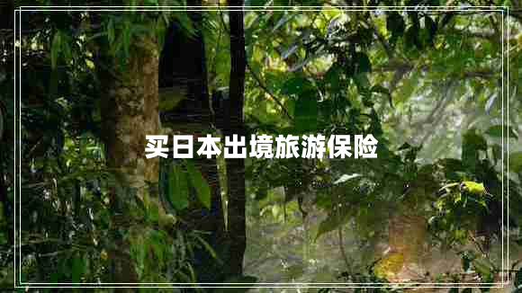 買日本出境旅游保險