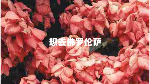 想去佛羅倫薩 想去佛羅倫薩