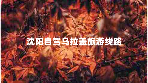 沈陽(yáng)自駕烏拉蓋旅游線路