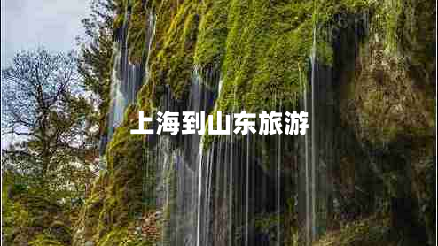 上海到山東旅游 上海到山東旅游