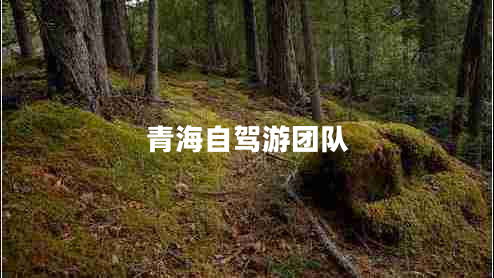 青海自駕游團(tuán)隊(duì) 青海自駕游團(tuán)隊(duì)