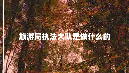 旅游局執(zhí)法大隊是做什么的