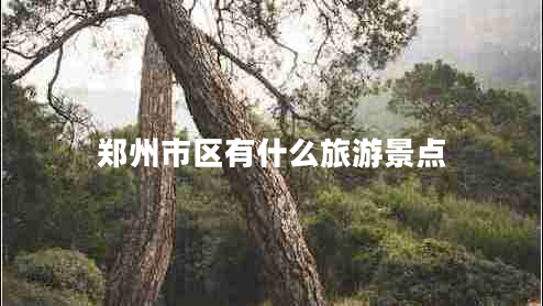 鄭州市區(qū)有什么旅游景點 鄭州市區(qū)有什么旅游景點