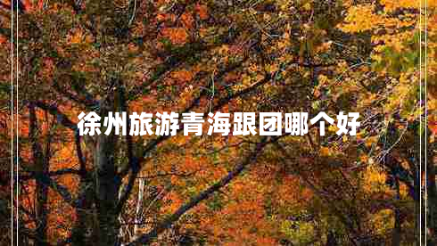 徐州旅游青海跟團(tuán)哪個(gè)好 徐州旅游青海跟團(tuán)哪個(gè)好