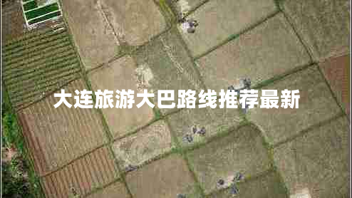 大連旅游大巴路線推薦最新 大連旅游大巴路線推薦最新