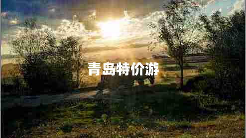 青島特價(jià)游 青島特價(jià)游