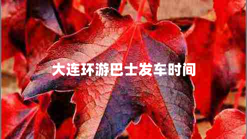 大連環(huán)游巴士發(fā)車(chē)時(shí)間 大連環(huán)游巴士發(fā)車(chē)時(shí)間