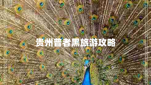 貴州普者黑旅游攻略