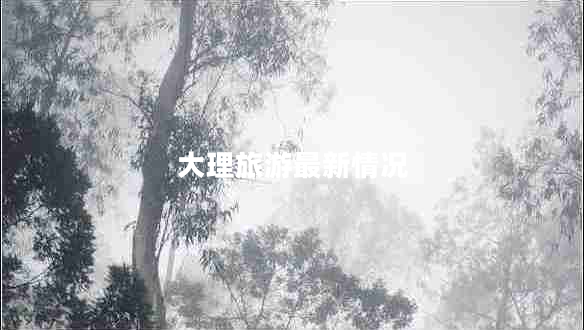 大理旅游最新情況 大理旅游最新情況