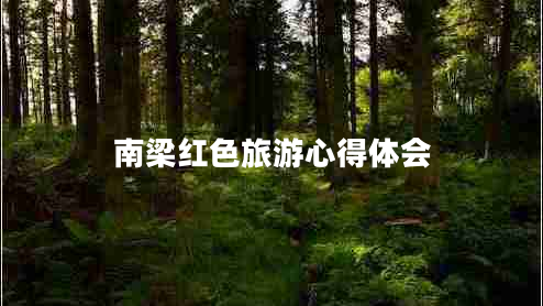 南梁紅色旅游心得體會