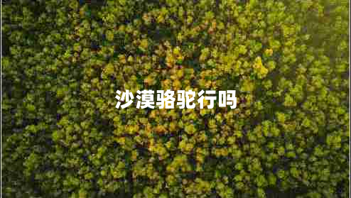 沙漠駱駝行嗎 沙漠駱駝行嗎