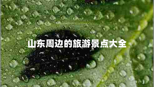 山東周邊的旅游景點大全