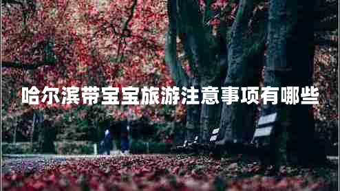 哈爾濱帶寶寶旅游注意事項(xiàng)有哪些