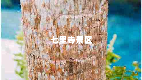 七里寺景區(qū)