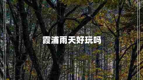 霞浦雨天好玩嗎