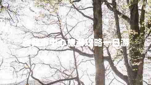 雅典市中心旅游攻略一日游 雅典市中心旅游攻略一日游