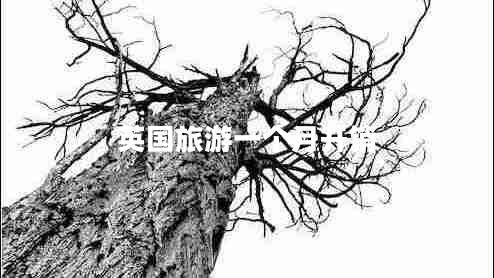 英國旅游一個月開銷