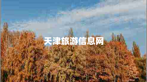 天津旅游信息網(wǎng) 天津旅游信息網(wǎng)