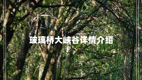 玻璃橋大峽谷詳情介紹 玻璃橋大峽谷詳情介紹