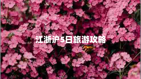 江浙滬5日旅游攻略