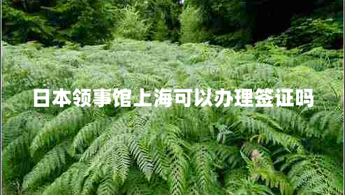 日本領(lǐng)事館上?？梢赞k理簽證嗎