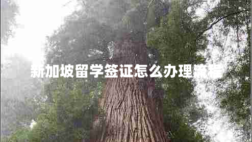 新加坡留學(xué)簽證怎么辦理流程 新加坡留學(xué)簽證怎么辦理流程