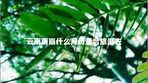 云南雨崩什么月份適合旅游去