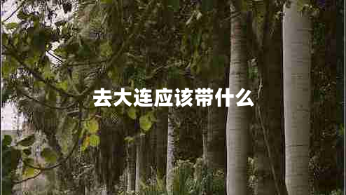 去大連應(yīng)該帶什么