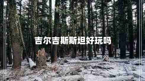 吉爾吉斯斯坦好玩嗎