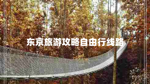 東京旅游攻略自由行線路 東京旅游攻略自由行線路