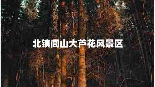 北鎮(zhèn)閭山大蘆花風(fēng)景區(qū) 北鎮(zhèn)閭山大蘆花風(fēng)景區(qū)