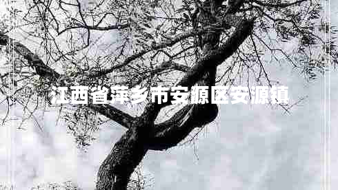 江西省萍鄉(xiāng)市安源區(qū)安源鎮(zhèn)