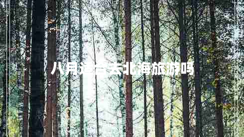 八月適合去北海旅游嗎 八月適合去北海旅游嗎