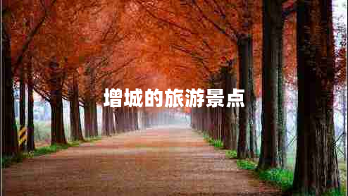 增城的旅游景點(diǎn) 增城的旅游景點(diǎn)