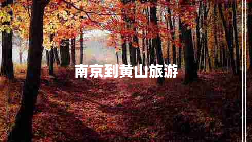 南京到黃山旅游 南京到黃山旅游