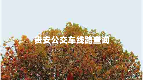 貴安公交車線路查詢 貴安公交車線路查詢