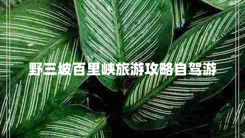 野三坡百里峽旅游攻略自駕游