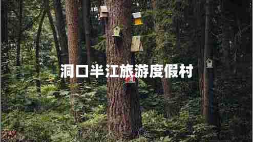 洞口半江旅游度假村