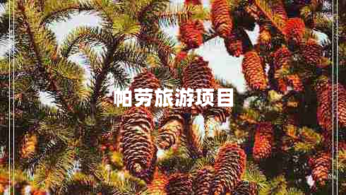 帕勞旅游項(xiàng)目 帕勞旅游項(xiàng)目