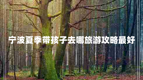 寧波夏季帶孩子去哪旅游攻略最好 寧波夏季帶孩子去哪旅游攻略最好