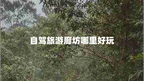 自駕旅游廊坊哪里好玩