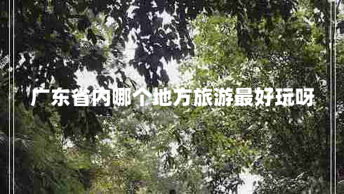 廣東省內(nèi)哪個(gè)地方旅游最好玩呀