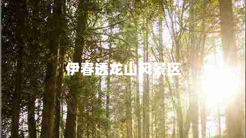 伊春透龍山風景區(qū) 伊春透龍山風景區(qū)