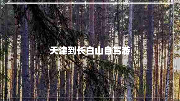 天津到長(zhǎng)白山自駕游
