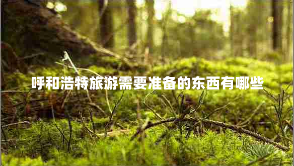 呼和浩特旅游需要準備的東西有哪些 呼和浩特旅游需要準備的東西有哪些