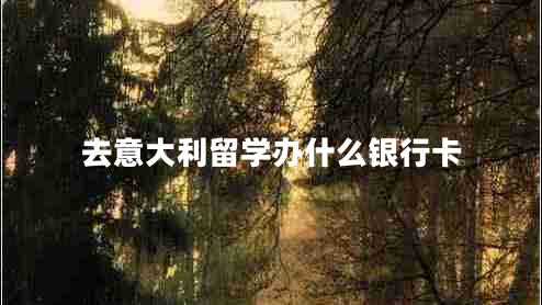 去意大利留學(xué)辦什么銀行卡 去意大利留學(xué)辦什么銀行卡