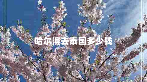 哈爾濱去泰國多少錢